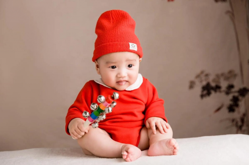 兴安盟宝宝喝什么奶粉不上火 兴安盟宝宝喝什么奶粉不上火